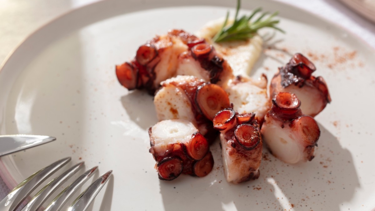 close-up-delicious-spanish-food (5)